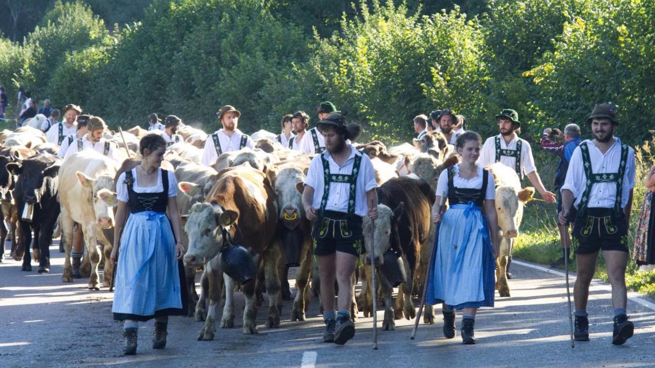 Fewo Alpengloeckchen, Oberstaufen/Steibis Kültér fotó